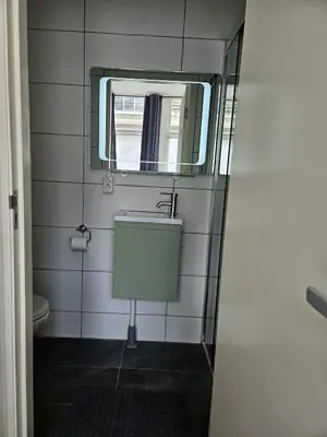 a bathroom with a sink and a mirror at Poelgeeststraat in Leiden