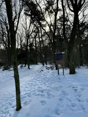 a sign in the snow next to some trees at Duynparc Soest in Soest