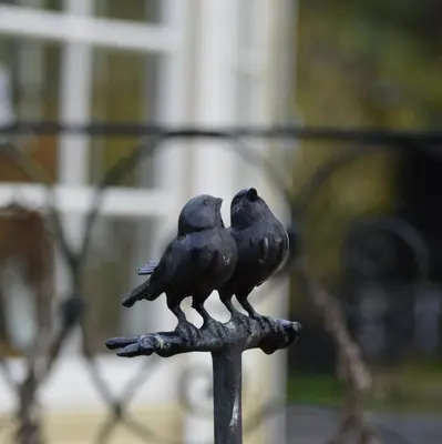 two birds sitting on top of a pole at Veld en Bosch in Leusden