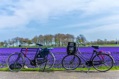 two bikes parked in front of a field of flowers at Slapen bij de Buurvrouw in Castricum