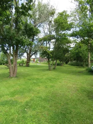 a field of grass with trees in the background at Vakantiehuis aan De Mooie Nel in Spaarndam