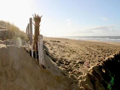 a sandy beach with a fence and a palm tree at Holiday Home in Noordwijk near the Beach in Noordwijk