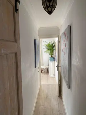 a hallway with a door and a potted plant at Casa Blanca Old City - Alkmaar in Alkmaar
