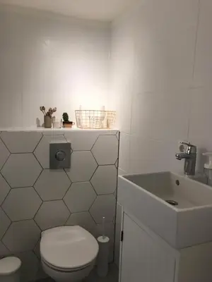 a white bathroom with a toilet and a sink at Cozy tiny house close to Schiphol Ams Airport in Rijsenhout