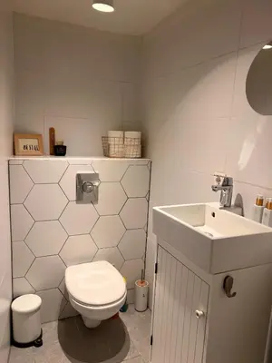 a bathroom with a toilet and a sink at Cozy tiny house close to Schiphol Ams Airport in Rijsenhout