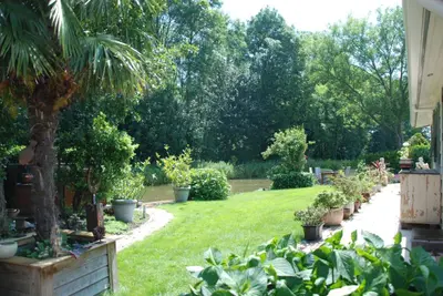 a garden with potted plants and a lawn at Villa Pantano in Berkhout