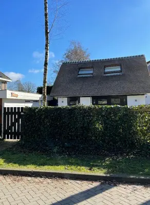 a house with a hedge in front of a building at Sunny Guesthouse in Bergen