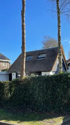 a house with two palm trees and a hedge at Sunny Guesthouse in Bergen