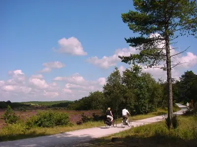 two people riding bikes down a dirt road at De Sloep in Bergen
