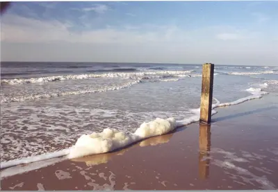 a pole sticking out of the sand on the beach at De Sloep in Bergen