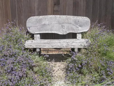 a wooden bench sitting in a garden with purple flowers at Beautiful Holiday home near the sea in Egmond aan den Hoef