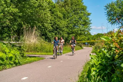 a group of people riding bikes down a road at EuroParcs de Woudhoeve in Egmond aan den Hoef
