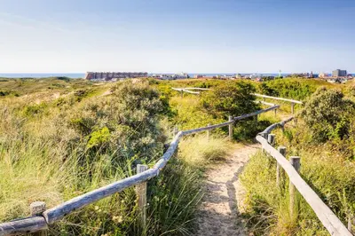 a wooden path on a hill with the ocean in the background at EuroParcs de Woudhoeve in Egmond aan den Hoef