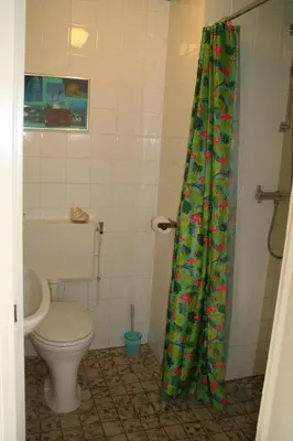 a bathroom with a toilet and a shower curtain at Rekerlanden 154 in Schoorldam
