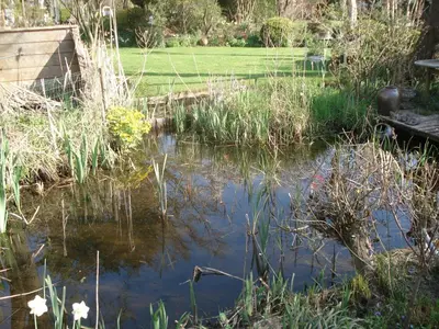 a pond in the middle of a garden at Aan de Vecht in Nederhorst den Berg