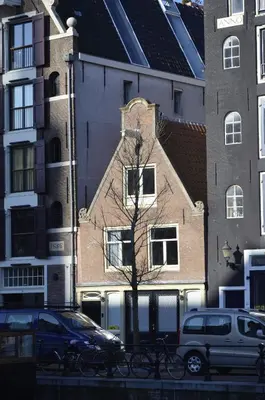 a tree in front of a building with bikes parked in front at Bed & Breakfast of Art in Amsterdam