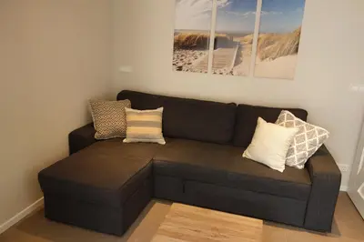 a brown couch in a living room with pillows at Albatros in Schoorl