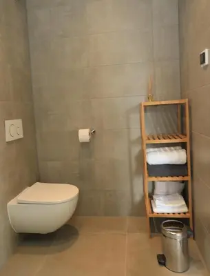 a bathroom with a toilet and a shelf of towels at B&B De Zwanebloem in Amsterdam