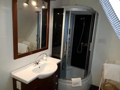 a bathroom with a sink and a shower at Bed & Breakfast De Koegang in Zuidermeer