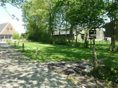 a field of green grass with a house and trees at Bed & Breakfast De Koegang in Zuidermeer