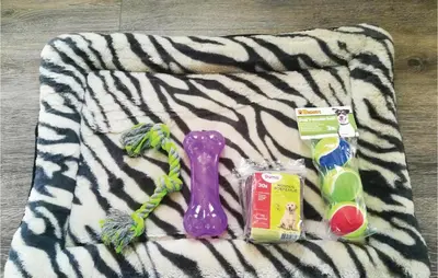 a towel with a toothbrush and other toys on it at Pet Friendly Home In Zeewolde With Wifi in Zeewolde