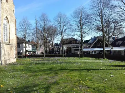 a grass field next to a church with trees and houses at Ecolodge de Parel Schoorl in Schoorl