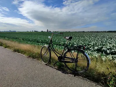 a bike parked on the side of a road next to a field at B&B Be Our Guest in Sint Maarten