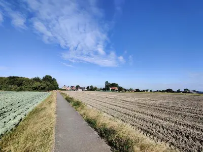 a field of crops with a road in the middle at B&B Be Our Guest in Sint Maarten