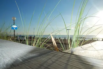 a view of the beach and the ocean through some grass at Luxury Beach Studio Zandvoort in Zandvoort