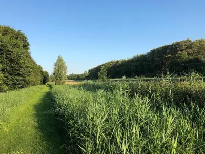 a path through a field of tall grass at Vakantiewoning Seaewald in Zeewolde