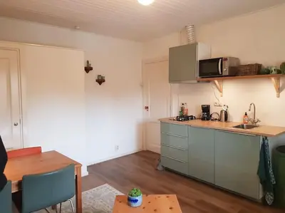 a small kitchen with a sink and a microwave at In het Centrum in Bergen