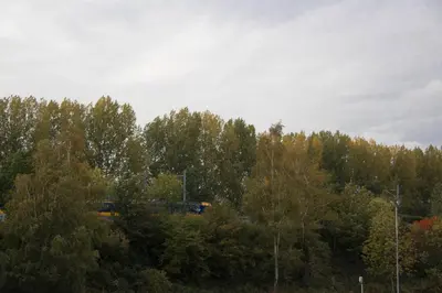 a train is traveling through a forest of trees at B&B Mondriaan in Amsterdam