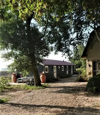 a house with a tree in front of it at B&B ZusenZomer in Oostwoud
