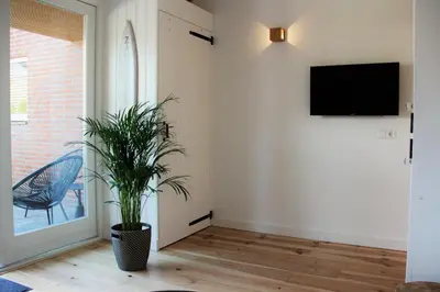 a living room with a potted plant and a tv at Southpoint Zandvoort & private parking in Zandvoort