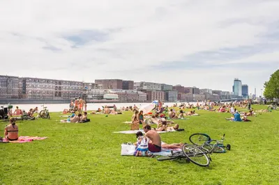 a group of people sitting on the grass at the beach at B&B 1971 Hazenstraat - Shared Bathroom in Amsterdam