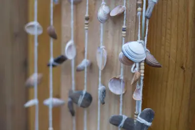 a bunch of shells hanging on a wall at Studio Zonnehoek Schoorl in Schoorl