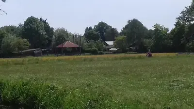 a field of grass with a gazebo in the background at Studio Zonnehoek Schoorl in Schoorl