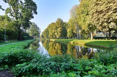 a river in a park with trees and grass at Tiny House Lindenhouse in Heemstede