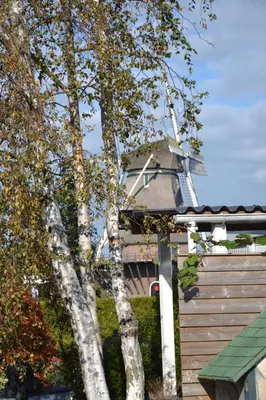 a house with a windmill behind two trees at Morpheus in Amsterdam