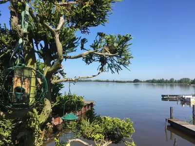 a tree with a bird cage in it on a lake at The Outpost Lakehouse- enjoy our house at Reeuwijkse Plassen - near Gouda in Reeuwijk