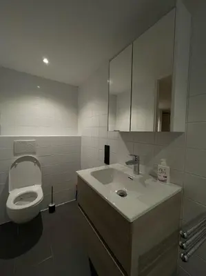 a bathroom with a white toilet and a sink at In The Heart of Zandvoort in Zandvoort