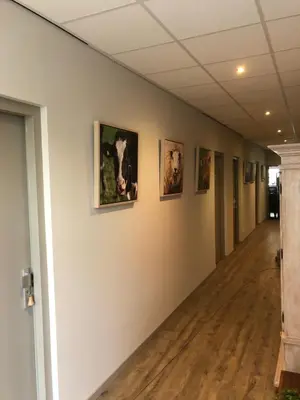 a hallway with pictures of cows on the wall at Boutique Hotel Herberg Binnen in Egmond-Binnen