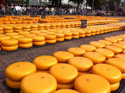 a large display of orange cheese on a street at Boutique Hotel Herberg Binnen in Egmond-Binnen