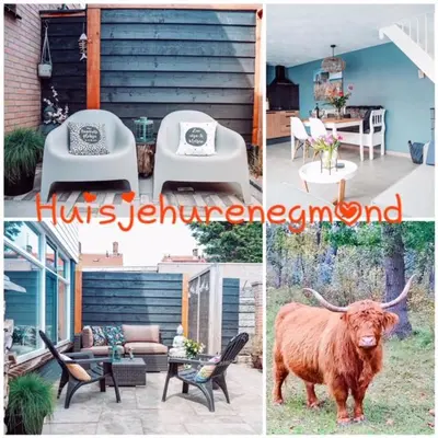 a collage of photos of a house with a cow at B&B Joeys place in Egmond aan Zee