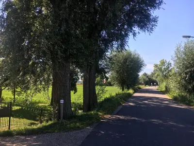 a tree lined road with a fence and trees at Ruim appartement in prachtige fiets-wandelomgeving in Abcoude