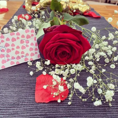 a red rose sitting next to a card and a flower at B&B Houseboat Amsterdam in Amsterdam
