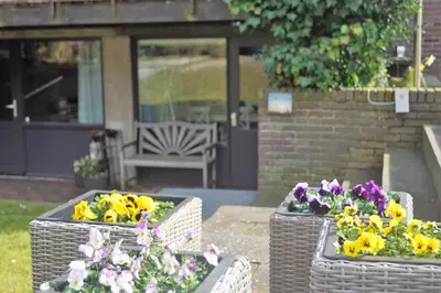 two baskets with flowers in them in a yard at Have a nice stay! - Souterrain The Freesia in Noordwijk