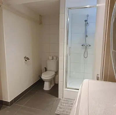 a bathroom with a toilet and a shower at Have a nice stay! - Souterrain The Freesia in Noordwijk