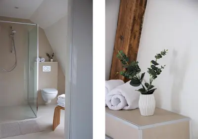 two pictures of a bathroom with a shower and a toilet at Hotel Paradis Zandvoort in Zandvoort