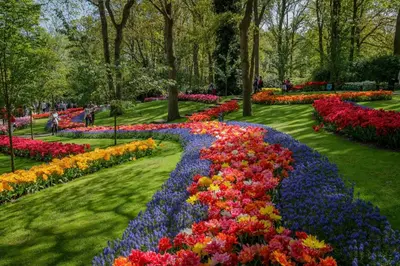 a garden with colorful flowers in a park at Hotel Paradis Zandvoort in Zandvoort